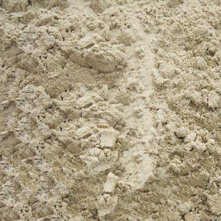 Straatzand close-up